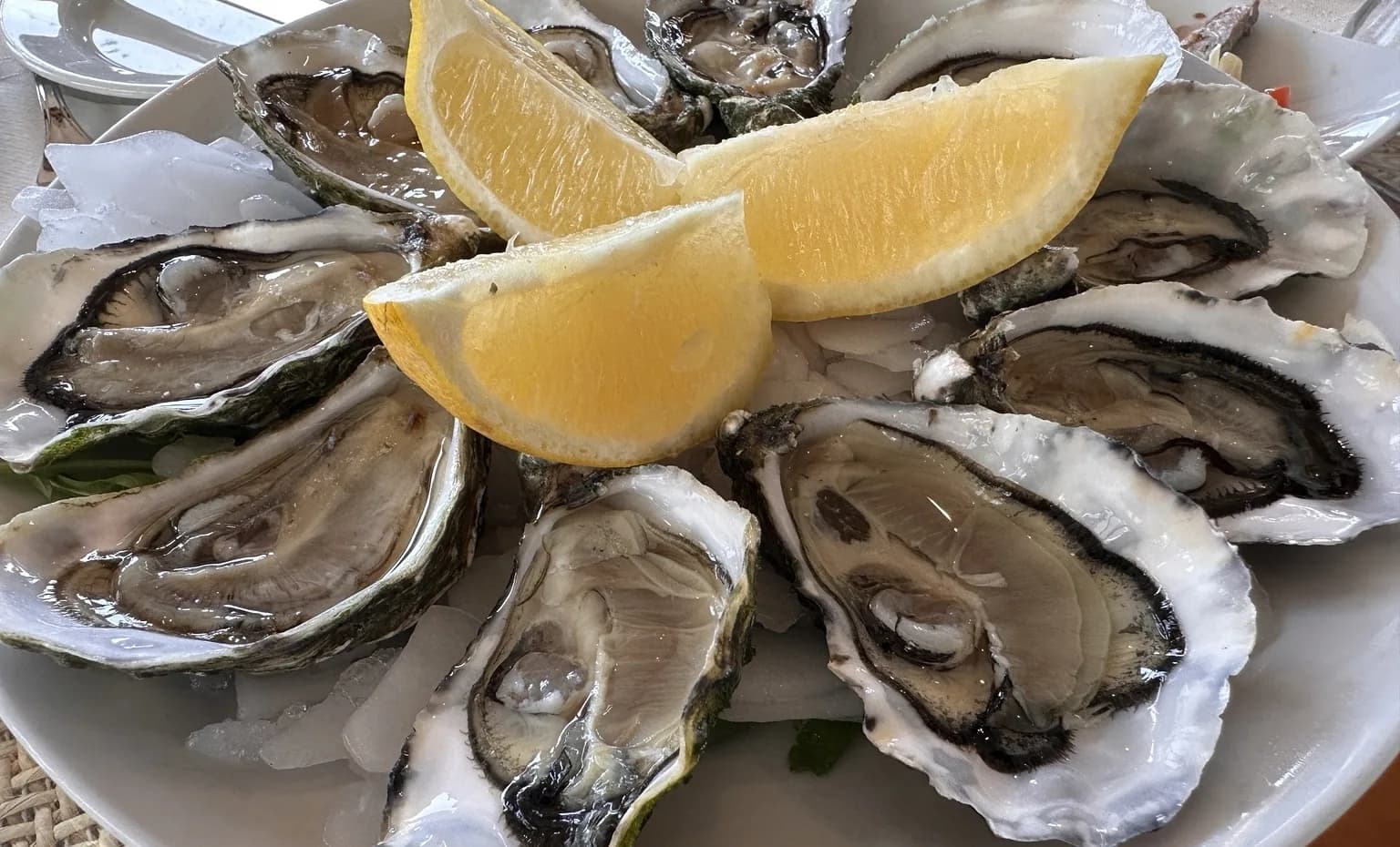Freshly opened oysters served with wedges of lemon