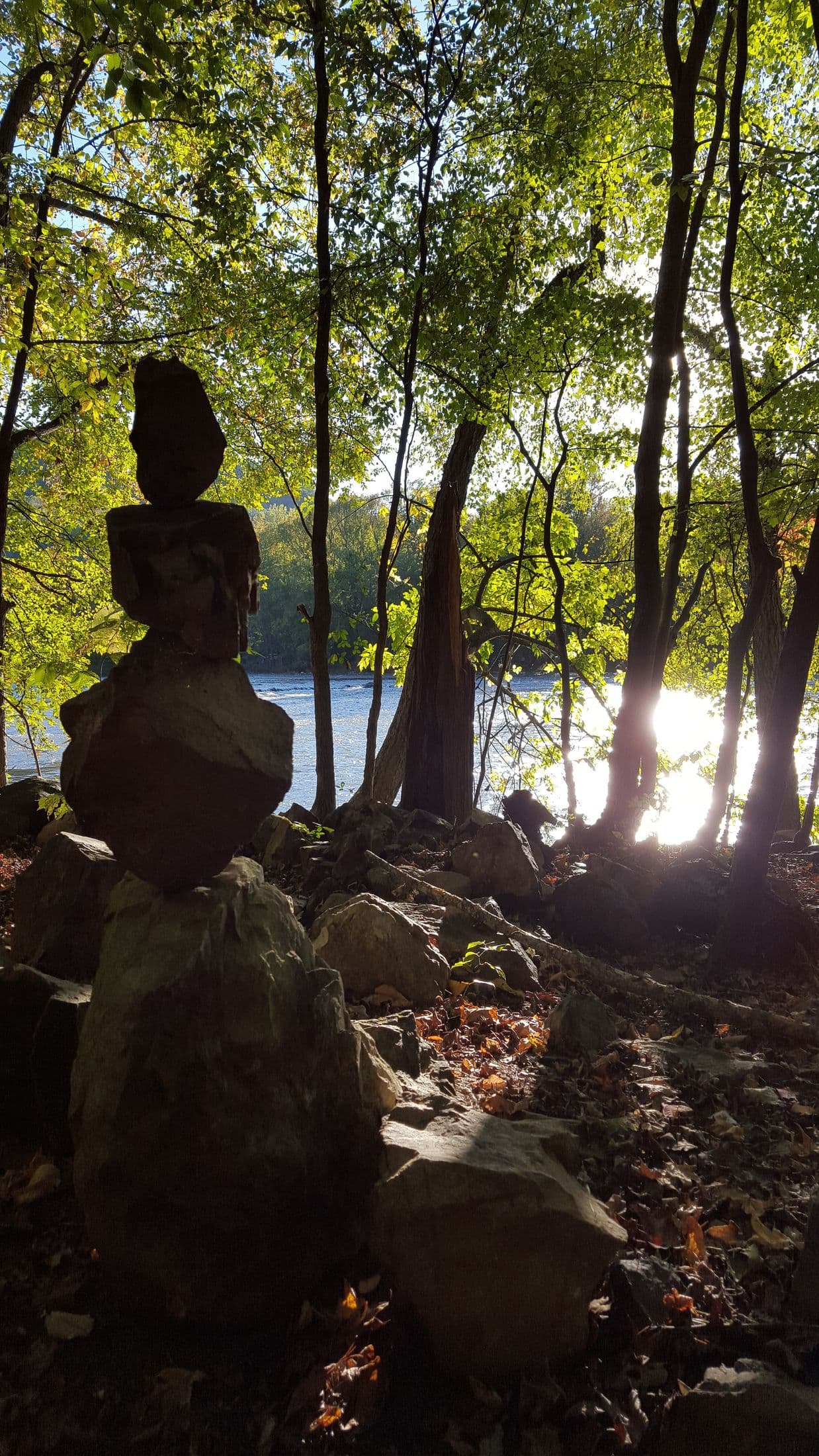 A stack of balanced stones in a quiet forest